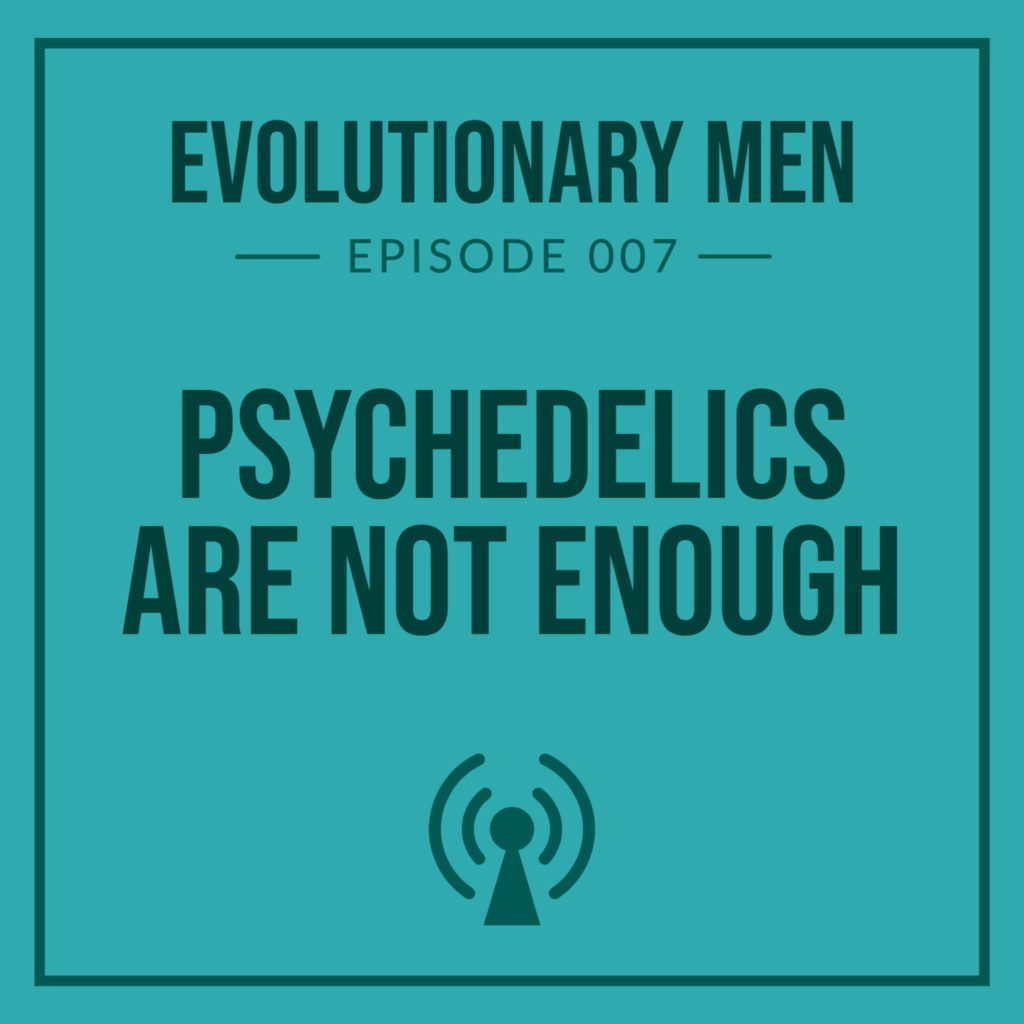 Psychedelics Are Not Enough