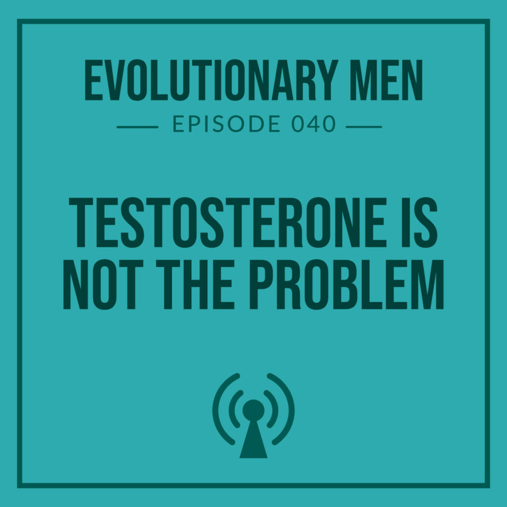 Testosterone is Not the Problem