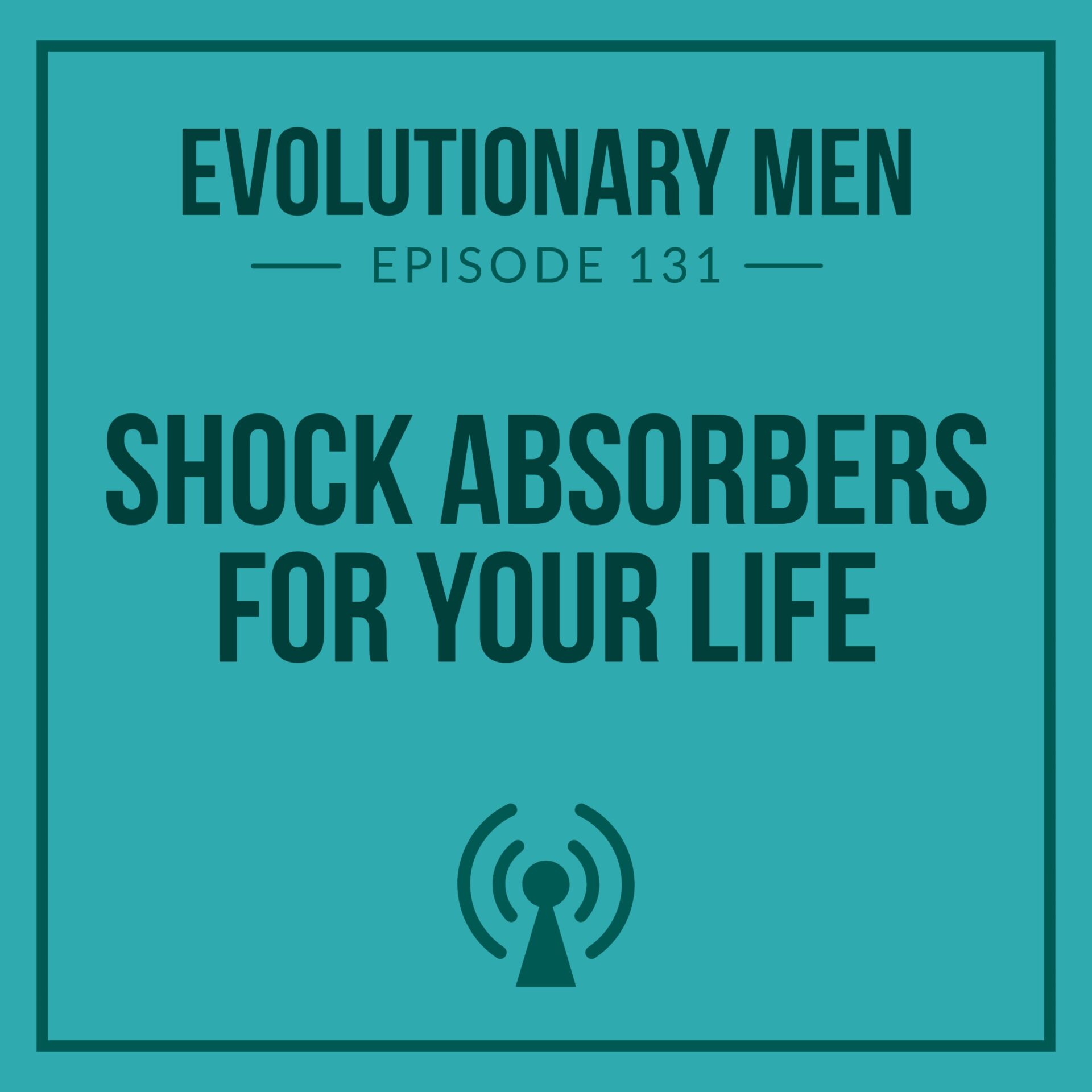 Shock Absorbers for Your Life