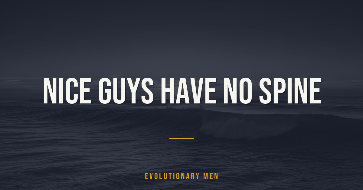 Nice Guys Have No Spine